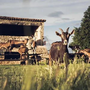 https://le-domaine-du-castellas.fr-provencehotel.com